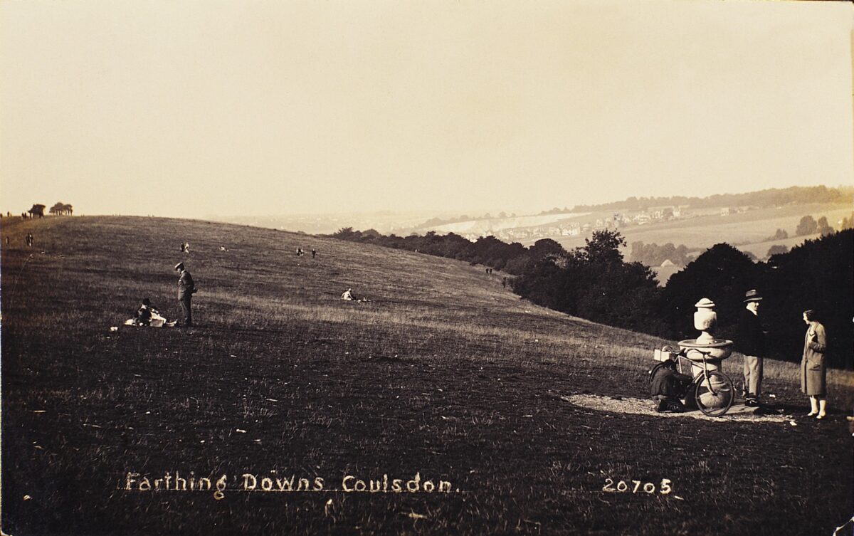 Farthing Downs: its history and its future